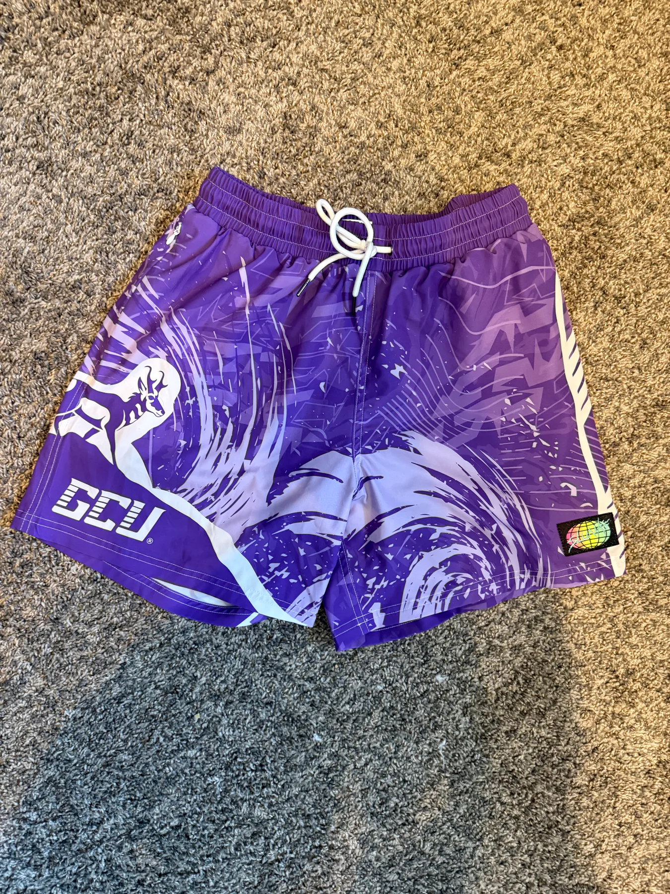 GCU VB Slunks